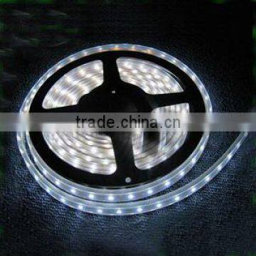 SMD5050 LED Flexible Strip Light as Decoration Outdoor (SC-D111)