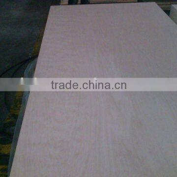 Beech plywood