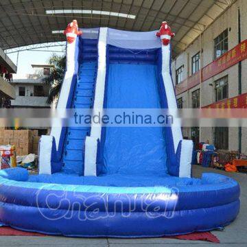 Commercial Inflatable Nemo Cartoon Water Slide With Pool, Giant Inflatable Water Slide for Sale Quality Choice photo-3