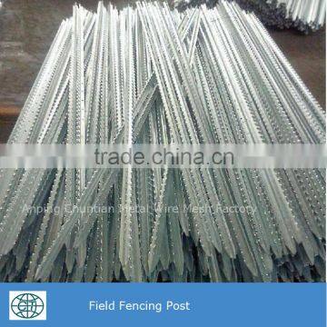 Hot Dipped Galvanized Ring Buckle Grassland Fence for Cattle,sheep,deer photo-4