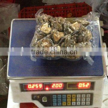 Dreid Shiitake Mushroom GRADE A ( CAP 2-4 CM )