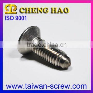 Promotion Product Stainless Steel Machine Self-Tapping Screws