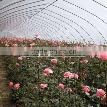 Polycarbonate Sheet for Greenhouse Roofing Plastic