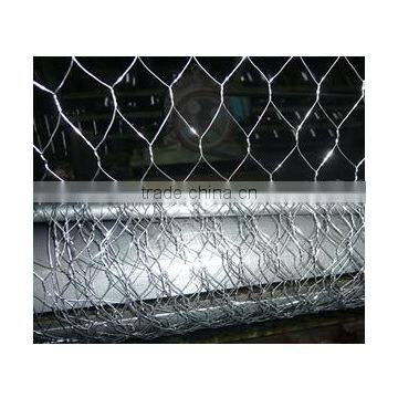 factory price Stainless Steel Chicken Wire for sales