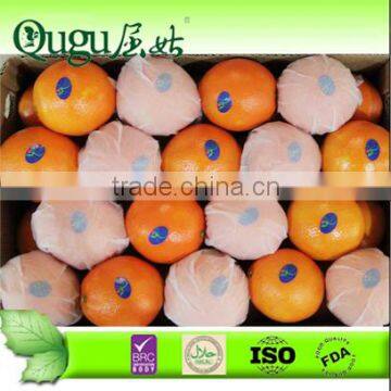 2014 China navel orange OEM brands