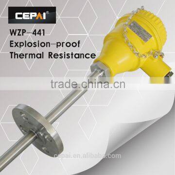 WZP-240 explosion-proof type RTD
