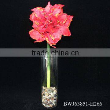 Natural rose flowers, cut flowers