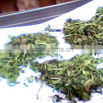 Methi