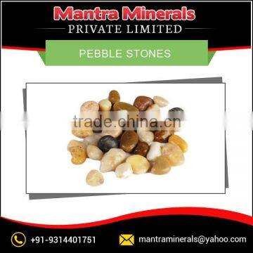 High Quality Natural Polished Pebble Stones