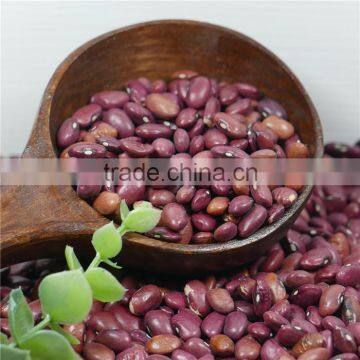 small red kidney bean 2016 crop good price high quality