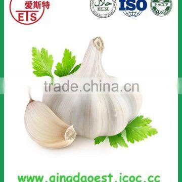 Fresh Garlic With Good Price New Fresh Normal White Garlic photo-6