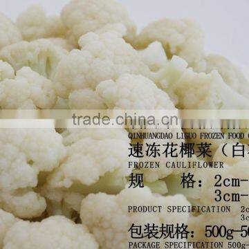 Frozen fresh Cauliflower vegetables