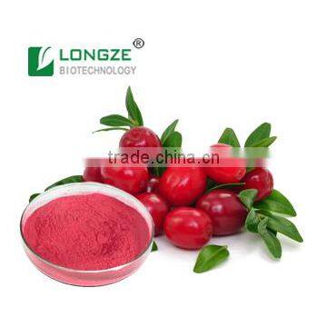 Drum,Vacuum Packed Antioxidant Cranberry/bilberry/blueberry Powder Extract