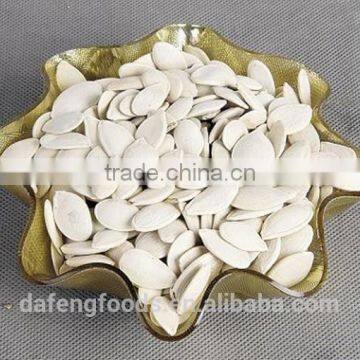 Inner Mongolia Shine Skin Pumpkin Seeds 10-11mm photo-1