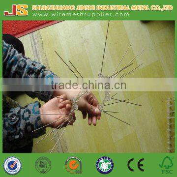 Bird Control Product Plastic Anti Pegion Spike