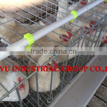 TAIYU broiler brooding battery cages