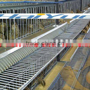 Taiyu brand cage for quail hens