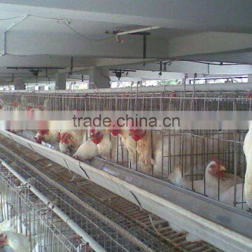 Poultry cages