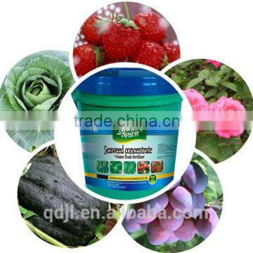 Seaweed Extract Liquid Fertilizer