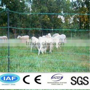 Grassland Fence (direct factory)