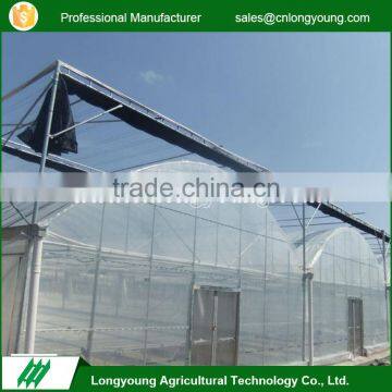 Factory price multi purpose agricultural greenhouse for tomato