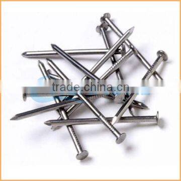 Manufacture High Quality Low Price Construction Common Nail Iron Nail photo-6