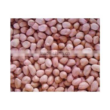 Peanut Grading / Sorting Machine Nut Fruit Grading / Sorting Machine photo-2