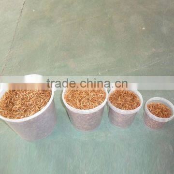FDA Broiler Poultry Feed Mealworms photo-2