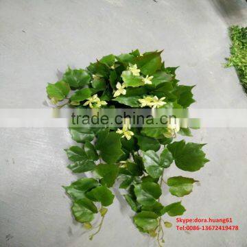 SJH010534 Artificial Small Leaves Mini Artificial Plants Wholesale Cheap Artificial Plants photo-6