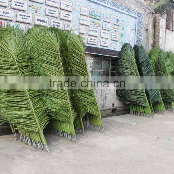 SJ07011102 Wholesale Tree Leave Outdoor/High Initation Plam Tree Leave/decorative Palm Leaves photo-5