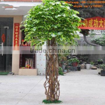 LXY082416 wholesale bonsai tree for garden decoration artificial ficus tree banyan bonsai