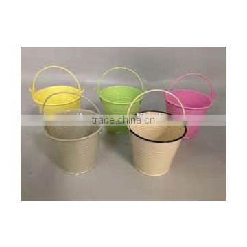 Garden Decoration Eco-friendly Flower Pot/Metal Small Flower Pails/Zinc Flower Planter/Metal Flower Pot/Can