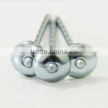 Roofing Nails/roofing Nail Supplies photo-3