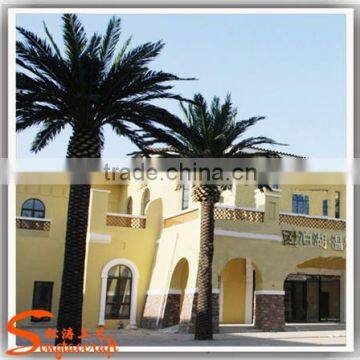 Hot Sale Fake Decoration Wood Palm Tree Names Miniature Plastic Palm Tree Decoration Palm Tree photo-3