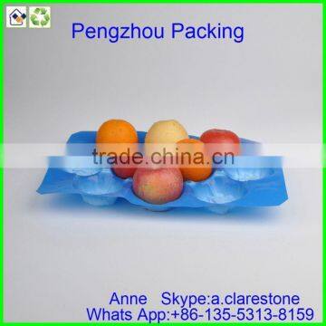 Pengzhou Plastic Mushroom Tray photo-4