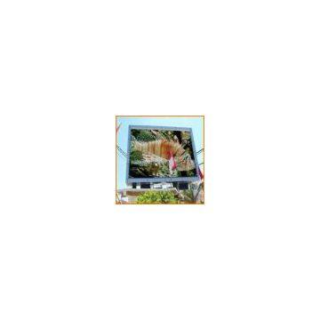 PH16mm 2R1G1B Full Color Outdoor Advertising LED Display Video Screen
