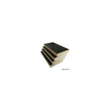 Sell Shutting Plywood