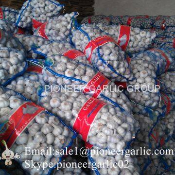 5.5cm Normal White Garlic Loose Packing In 10kg Mesh Bag photo-4