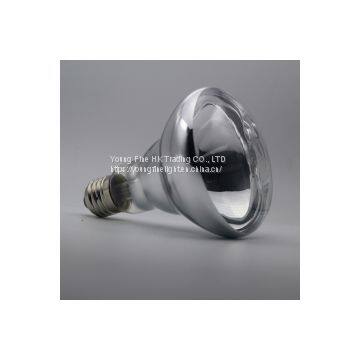 Reptile Basking Spot Bulb R30 R95 150W