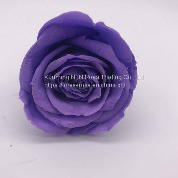 Preserved Fresh Roses Flower for Home Decoration photo-2