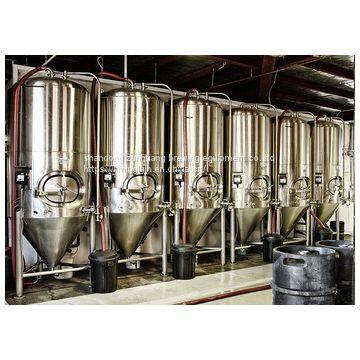 1000L Stainless Steel Conical Fermenter for Pub Beer Fermenting photo-5