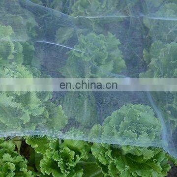 Transparent Anti Insect Net Mesh 50 for Vegetable photo-2