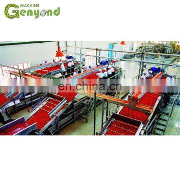 Fruit Jam Tomato Past Process Machine Plant photo-3