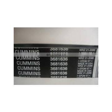 3681636 Belt