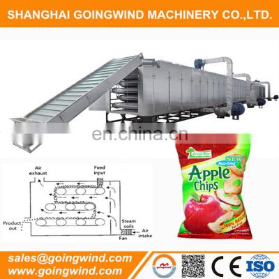 Automatic dried apple chips production line Auto VF apple chip processing plant equipment cheap price for sale