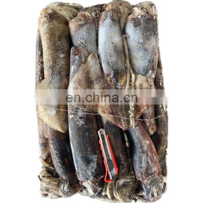 wholesale frozen giant squid price peru giant squid dosidicus gigas