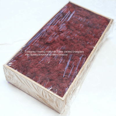 Natural Eco-Friendly Bulk Lichen Stabilized Reindeer Preserved Moss Wedding Wall Decoration