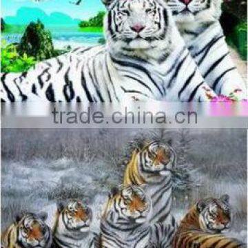 30*40cm Two Changes Wall Hanging Poster 3D Lenticular Picture