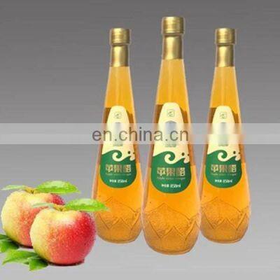 Shanghai Genyond Factory Apple Grape Pineapple Wine Production Line photo-4