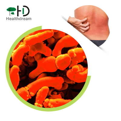 High-Potency Freeze-dried Probiotics Bacillus Probiotic Powder Bifidobacterium Breve Boosts Digestive & Immune Health